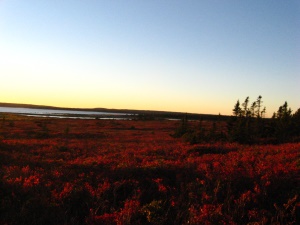 uitgestrekte vlaktes | Kejimkujik National Park